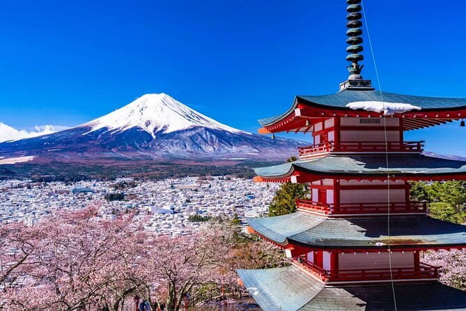 Shibuya Go Karting Tour with Funny Costume - Safety, insurance, and the real financial risk