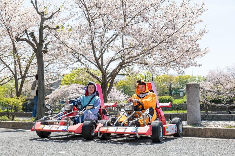 Shibuya Go Karting Tour with Funny Costume - Who will enjoy this most