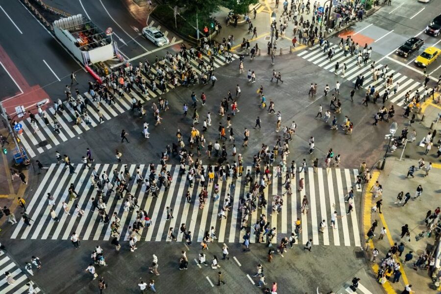 Shibuya & Harajuku: Hidden Gems & Highlights Private Tour - What the guides add to the day