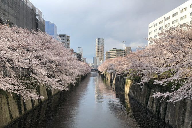 Shinjuku: Food Tour – 15 Dishes & 3 Drinks at 4 Eateries - Guides make or break the evening