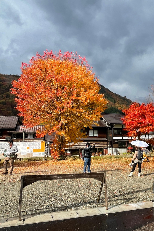 Shirakawa-go UNESCO Half-Day Tour from Takayama - A few smart ways to prepare