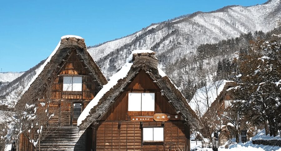Shirakawago&HidaTakayama&GujoHachiman 1 Day Tour from Nagoya - Who will get the most from this $61 tour?
