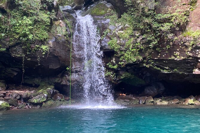 Shizuoka: Advanced Canyoning Activity near Mt. Fuji - The best season is summer through September