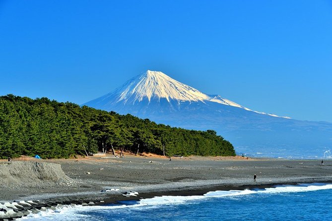 Shizuoka/Shimizu Mt Fuji View 6 hr Private Tour: Guide Only - Key points to know before booking