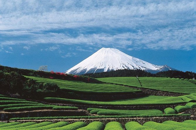 Shizuoka/Shimizu Mt Fuji View 6 hr Private Tour: Guide Only - Oigawa Railway, food, and other possible additions