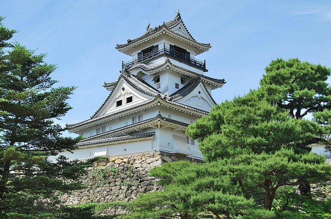 Shore Excursion Full Day Private Kochi Tour from Kochi port - Who should book this Kochi day tour