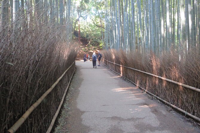 Shore excursion: Full Day Private Kyoto Tour From Osaka/Kobe Port - Gion and Pontocho: Kyoto’s traditional streets