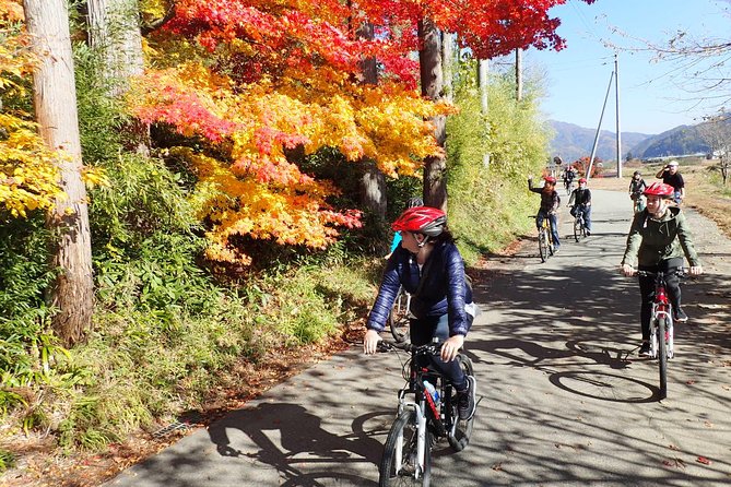 Short Morning Cycling Tour in Hida - Rice fields, Hida cattle, and the Satoyama setting