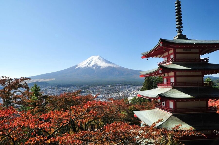 Sightseeing Day Trip to Mount Fuji and Hakone Green Number - One private day from Tokyo to Mount Fuji