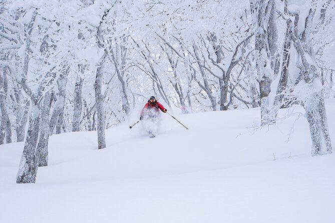 Ski or Snowboard Lesson in Shiga Kogen (4Hours) - Why the private format matters