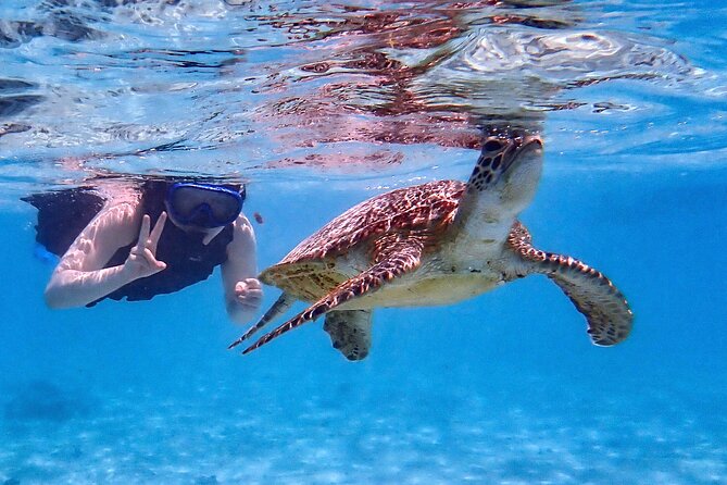 Snorkeling Activity in Okinawa Miyako Japan - What the two-hour outing is likely to feel like