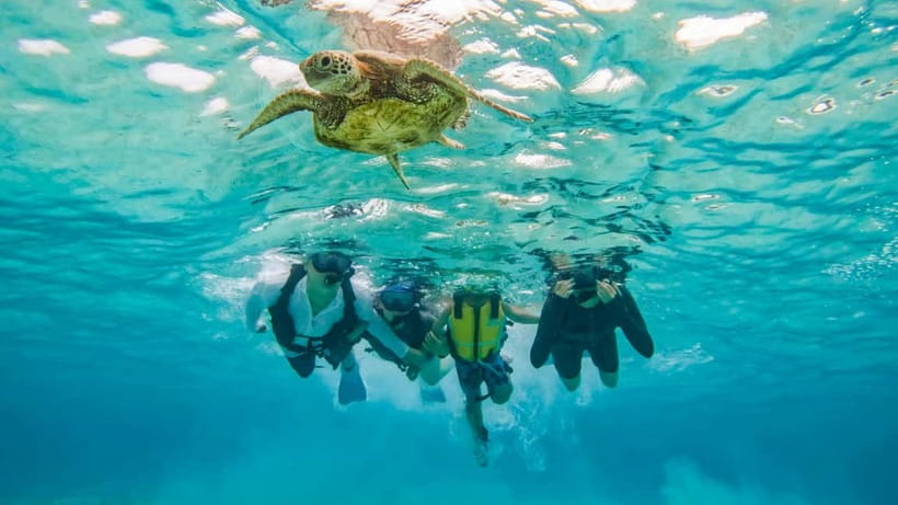 Snorkeling Activity in Okinawa Miyako Japan - Who should book, and who should think twice?