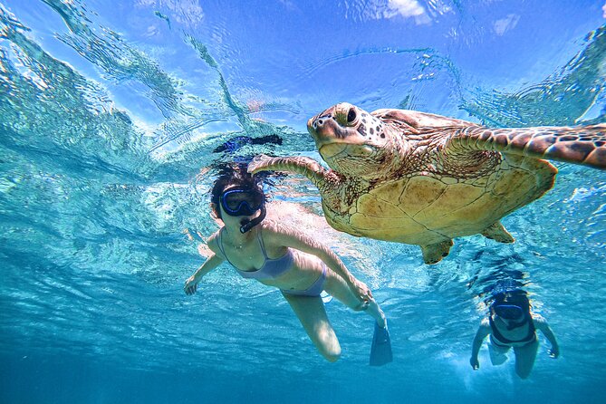 Snorkeling Activity in Okinawa Miyako Japan - The first hour: safety, equipment, and getting comfortable