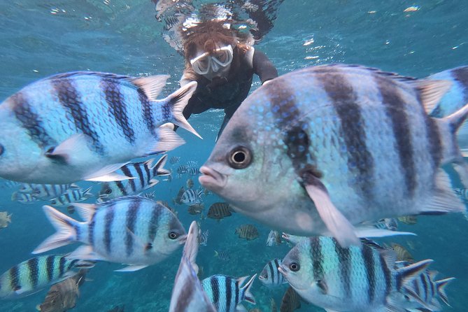 Snorkeling in the Blue Cave area【Okinawa Prefecture: Free feeding & photo images!English and Chinese speaking guide available! - Key points to know before booking