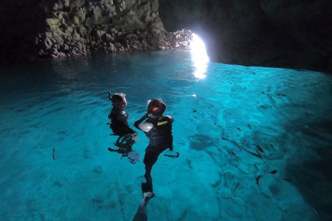 Snorkeling in the Blue Cave area【Okinawa Prefecture: Free feeding & photo images!English and Chinese speaking guide available! - Fish feeding, reef scenery, and the photo package