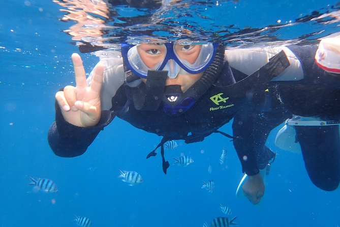 Snorkeling in the Blue Cave area【Okinawa Prefecture: Free feeding & photo images!English and Chinese speaking guide available! - How long the two-hour schedule really feels