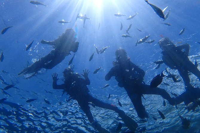 Snorkeling in the Blue Cave area【Okinawa Prefecture: Free feeding & photo images!English and Chinese speaking guide available! - What happens from the parking lot to the water