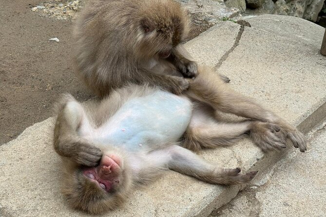 Snow Monkey Park, Soba Lunch and Shibu Onsen Tour - Relaxing in a Shibu Onsen public bath