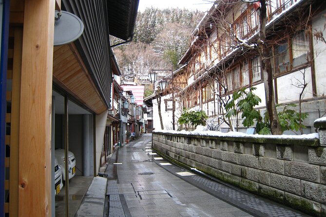 Snow Monkey & Shibu Onsen Afternoon Tour (Depart: Iiyama & Nozwa) - The Cedar Trail to Jigokudani