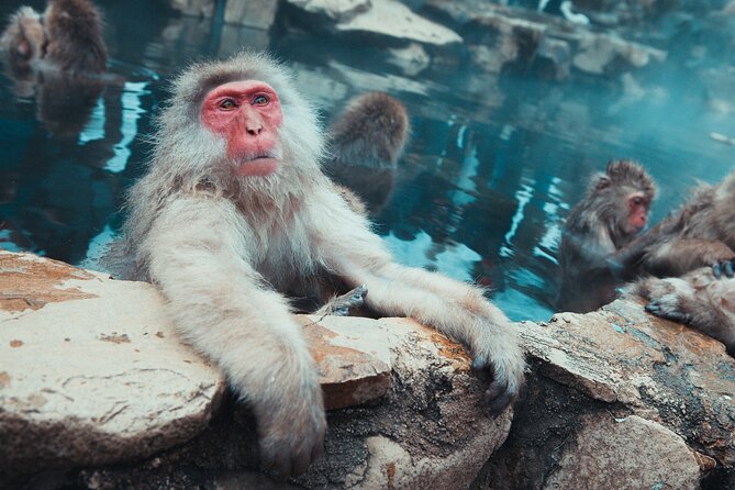 Snow Monkey & Shibu Onsen Afternoon Tour (Depart: Iiyama & Nozwa) - Shibu Onsen: Old Streets and Local Customs