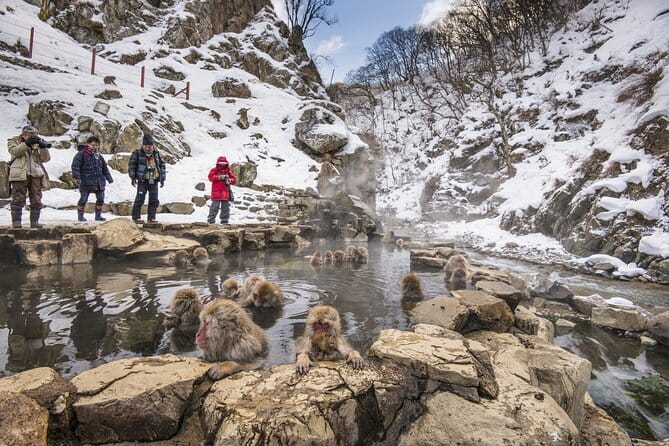 Snow Monkeys, Hokusai & Sake: A Perfect Day in Nagano - Choosing Zenkoji Temple or Nagano Station
