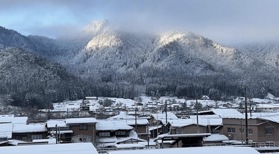 Takayama Private Custom Tour with Local Guide - What the guide adds to the day