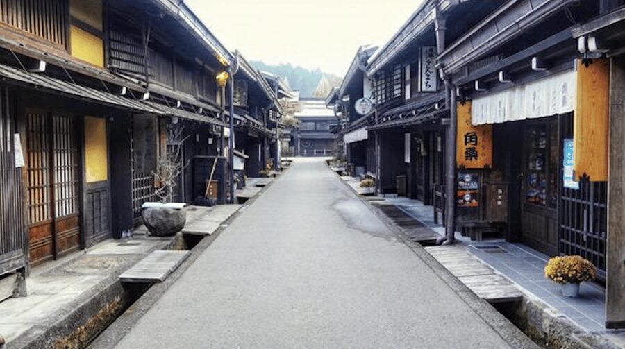 Takayama Private Custom Tour with Local Guide - Public transport, walking, and the private vehicle option