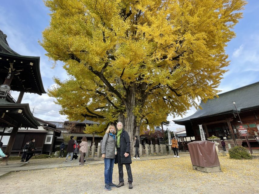 Takayama: Private Walking Tour with a Local Guide - Miyagawa Morning Market and local tastes