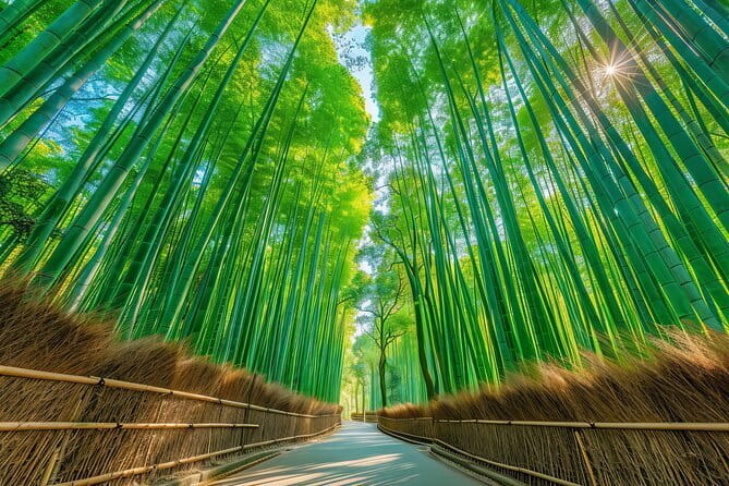 The Art of Geisha: Exclusive Show & Gion Walking Tour - How the $124.21 price measures up