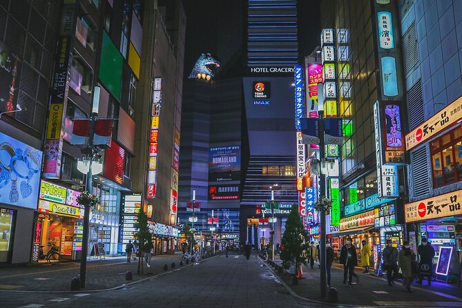 The Dark Side of Tokyo - Night Walking Tour Shinjuku Kabukicho - Key points to know before you book