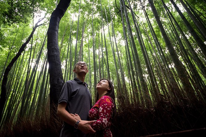 The right way to know Kyoto - Is $371.41 good value for six people?