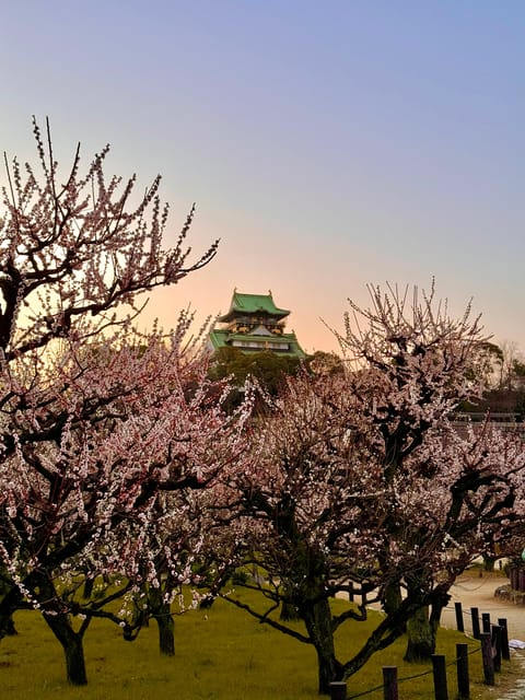 (Ticket Included) Explore Osaka Castle & Museum of History - Timing, comfort, and who should book