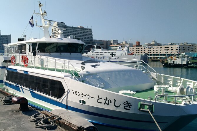 Tokashiki Island Day Trip from Naha - Who Will Enjoy This Island Day