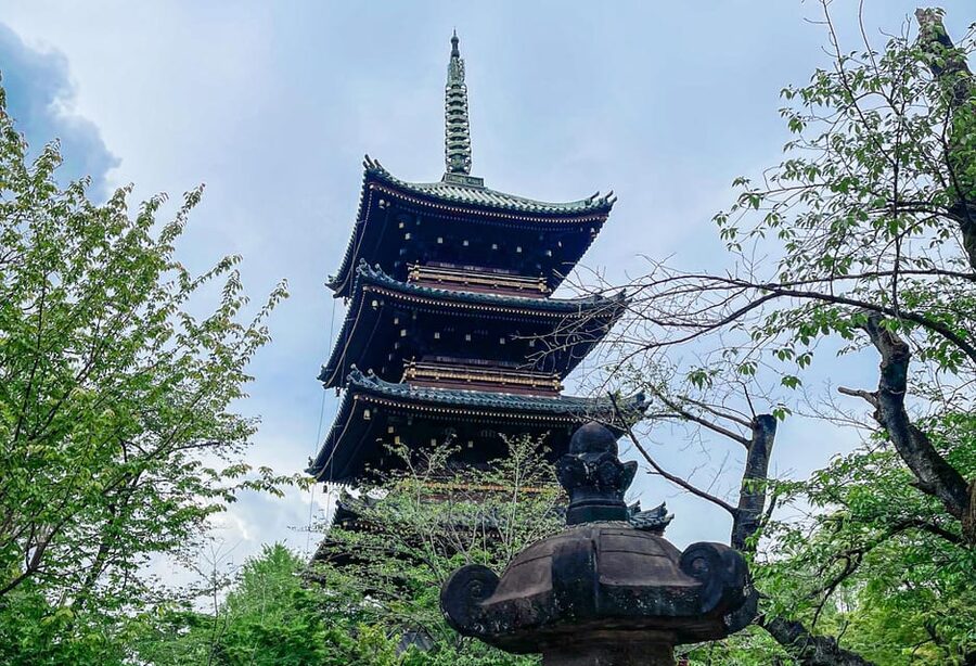 Tokio A: Tour de la ciudad en Español - Spanish - Ameyoko: el mercado que cambia el tono del recorrido