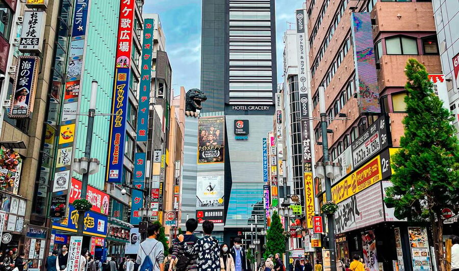 Tokio A: Tour de la ciudad en Español - Spanish - Lo que realmente aporta una guía en español
