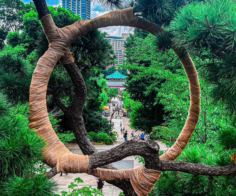 Tokio A: Tour de la ciudad en Español - Spanish - Ueno: parque, pausas y un Tokio más cotidiano