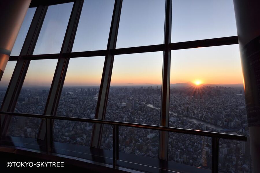 Tokyo: 1 Day Bus Tour with Meiji-Jingu,Odaiba,lunch&Skytree - Key points at a glance