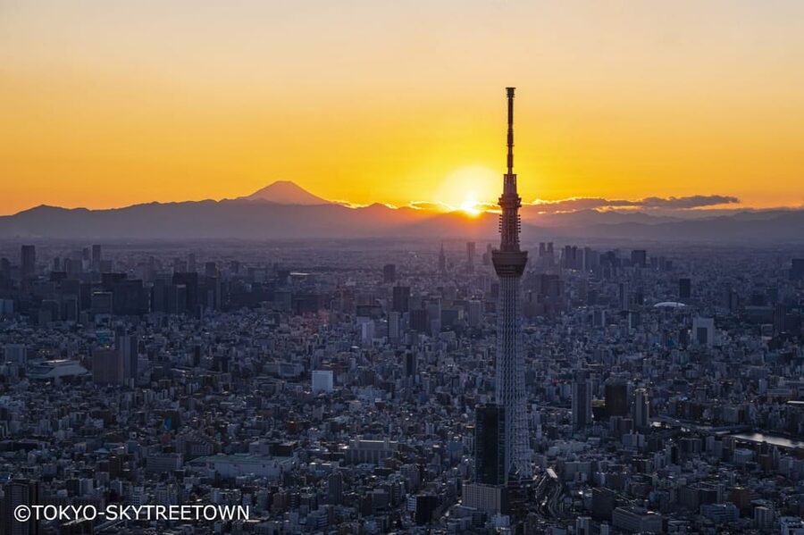 Tokyo: 1 Day Bus Tour with Meiji-Jingu,Odaiba,lunch&Skytree - A big Tokyo day made manageable
