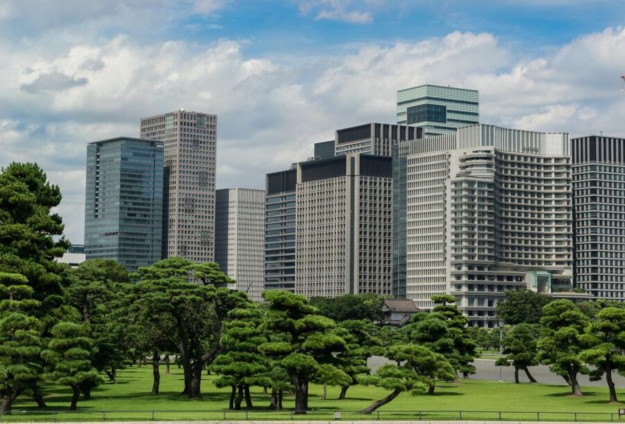 Tokyo: 1-Day Private Customizable Tour by Car - Imperial Palace East Gardens: a short look at the center of power