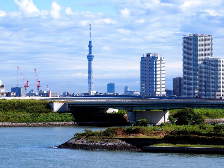 Tokyo: 1-Day Private Customizable Tour by Car - Shibuya Scramble Square and the famous crossing