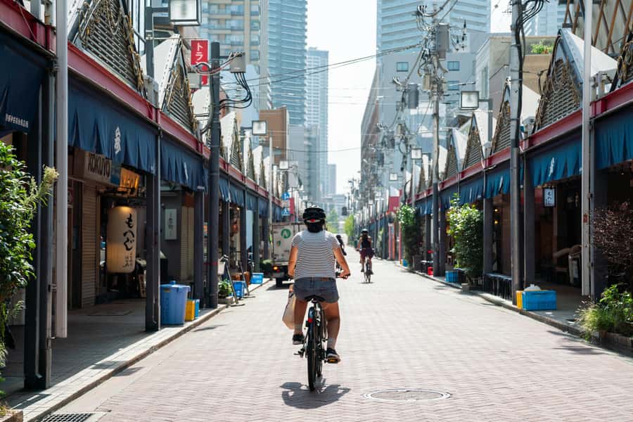 Tokyo: 3-hour Guided E-Bike Tour of the City's Hidden Gems - Tokyo City Route: station streets, gardens, and old neighborhoods