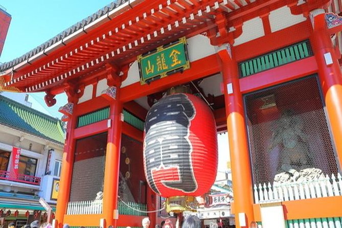 Tokyo 4hr Private Tour with Government-Licensed Guide - Meiji Jingu, Yoyogi Park, and Harajuku in One Compact Area