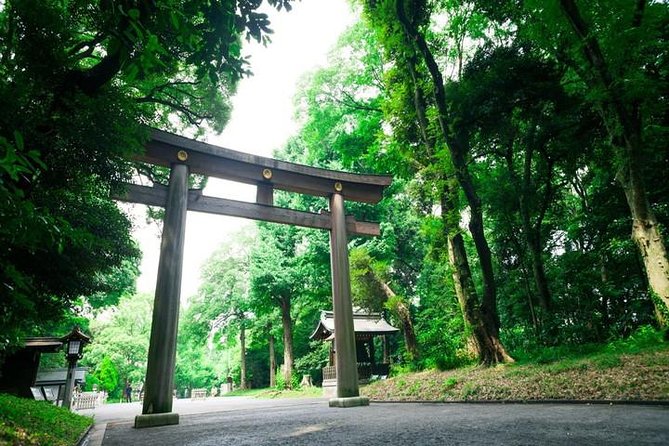 Tokyo 6hr Private Tour with Government-Licensed Guide - Ueno, Nezu, and the quieter old neighborhoods