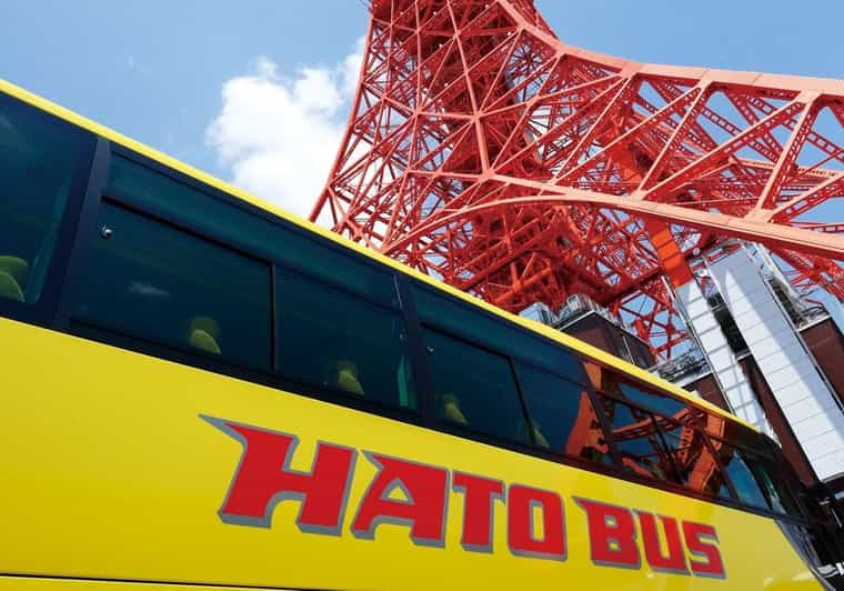 Tokyo: A Half-Day Trip Bus Tour in the Morning - Key points to know before booking