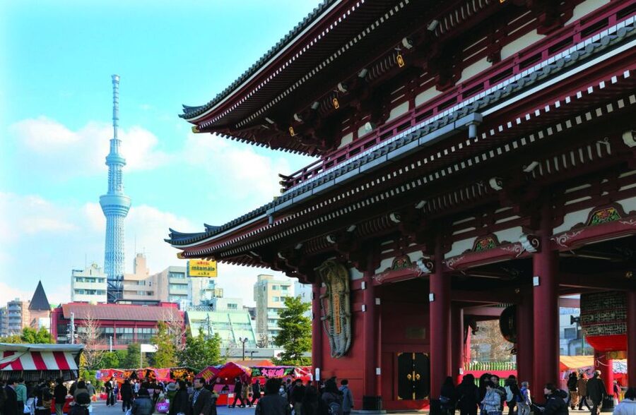Tokyo: A Half-Day Trip Bus Tour in the Morning - Who should book this tour?