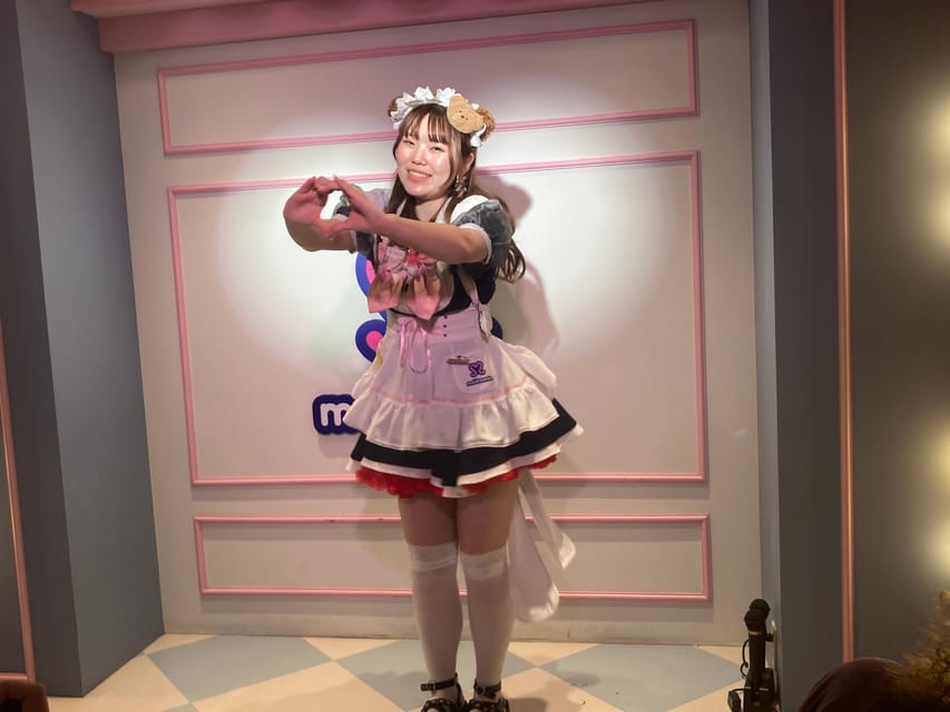 Tokyo Akihabara, Anime, Manga, Video Games & Maid Cafe Tour - Gee Store and the pleasure of a focused search