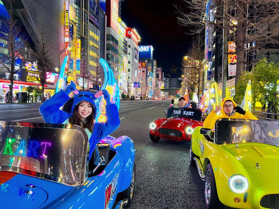 Tokyo: Akihabara/Asakusa Go-Karting Tour (including guide) - Who will enjoy this most