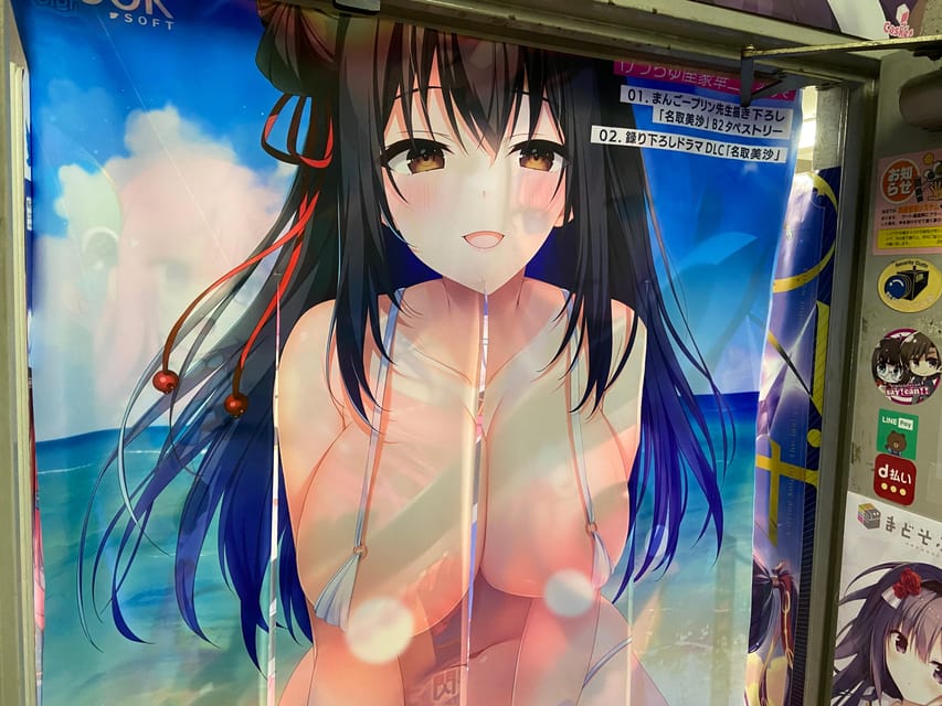 Tokyo: Akihabara Private Hentai Tour - Starting at Akihabara Station’s Electric Town Gate