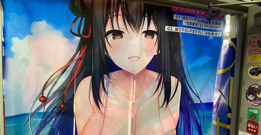 Tokyo: Akihabara Private Hentai Tour - Manga, anime, and video game shopping