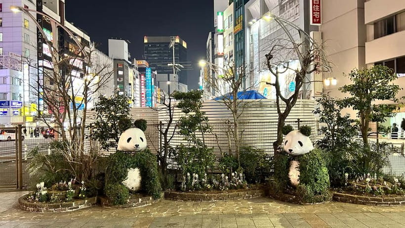 Tokyo: Akihabara, Shibuya, Karaoke & City Lights Night Tour - Meeting at Ueno Station and starting in Ueno Park